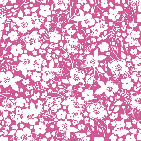 Forget Me Not in Petunia