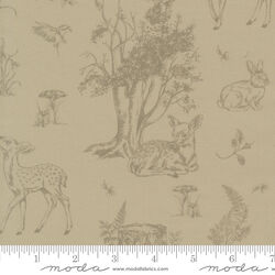 Fawns and Fables in Sage