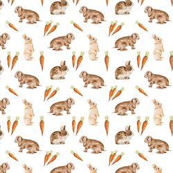 Little Bunnies and Carrots in White