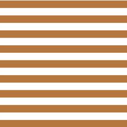 Horizontal Candy Stripe in Ginger