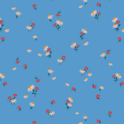 Delicate in Sky