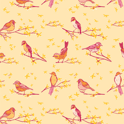 The Dawn Chorus in Sunset