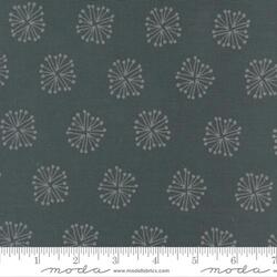 The Big Bang in Dark Blue