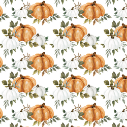Pumpkin Fields in White