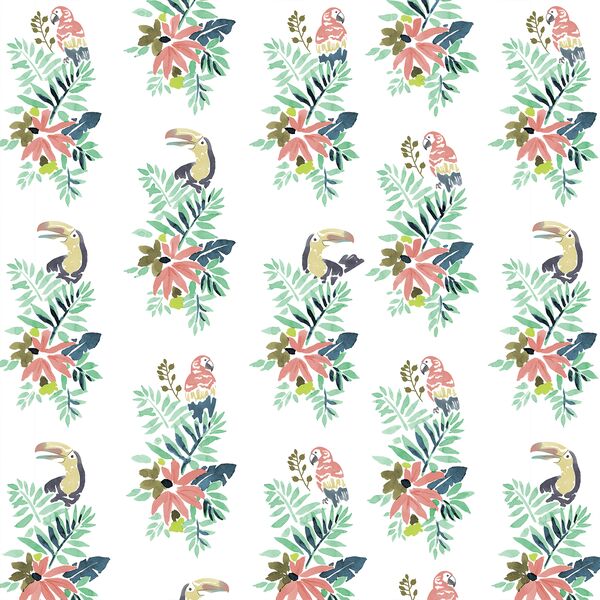 Bird Watching in White