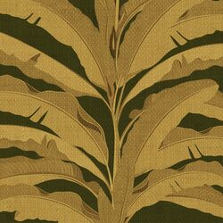 Large Palm in Lush Green