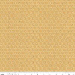 Honeycomb in Honey