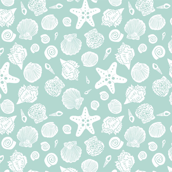 Sea Shells in Surf