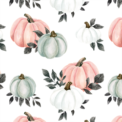Pumpkins in Pink and White
