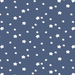 Star Light in Midnight