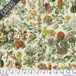 Orange Botanical Canvas in Orange