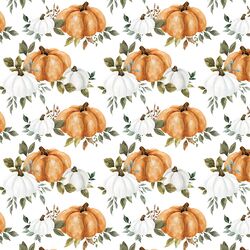 Pumpkin Fields in White