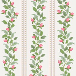 Rose Stripe in Alabaster