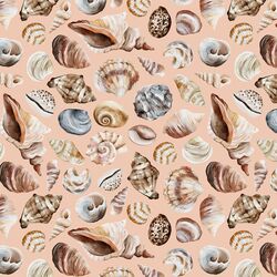 Shells in Coral