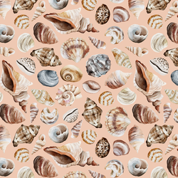 Shells in Coral