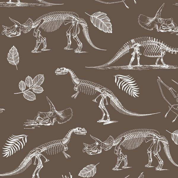 Fossils in Timber