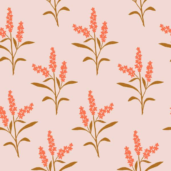 Yukon Fireweed in Wild