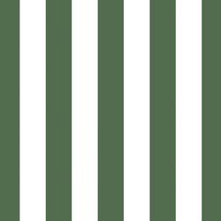 Play Stripe in Kale