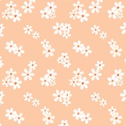 Daisies in Peach