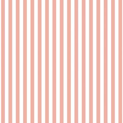 Dress Stripe in Peony