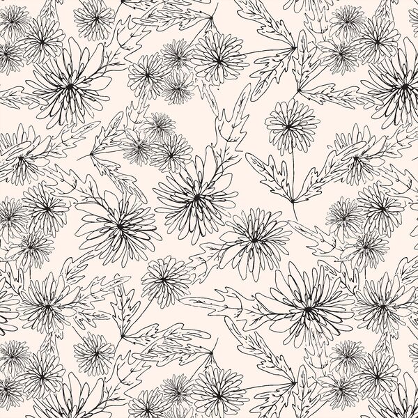 Chrysanthemum Sketch in Coal on Cloud