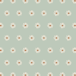 Wild Daisy in Sage