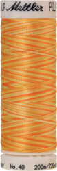 Sunny Rays (4820-9925) - Poly Sheen Multi - 220 Yards