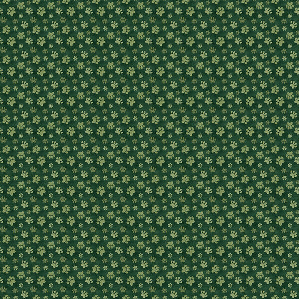 Paw Prints in Forest