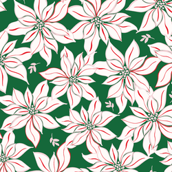 Large Poinsettia in Pine