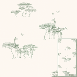 Tall Treasures in Baobob