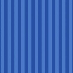 Two Tone Stripe in Evening Blue