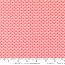 June in Blush