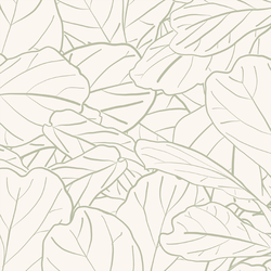 Large Fiddle Fig in Ivory