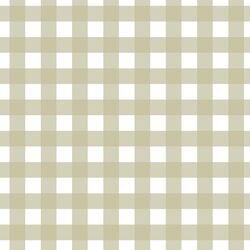 Gingham in Light Mossy Green