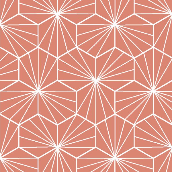Radiate in Desert Rose