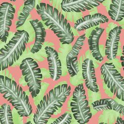 Banana Leaves in Tulip