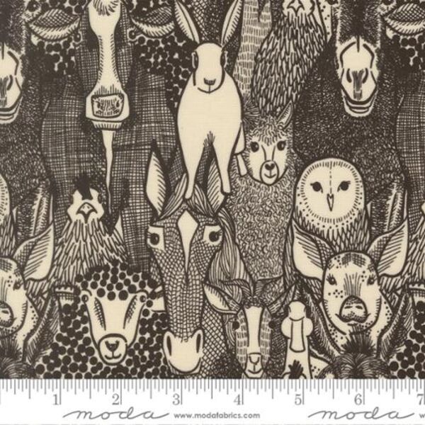 Barnyard Faces in Iron