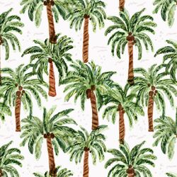Palm Paradise in Coconut