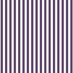 Dress Stripe in Aubergine