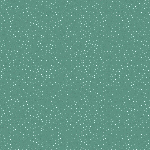 Small Winter Snow in Pine Green