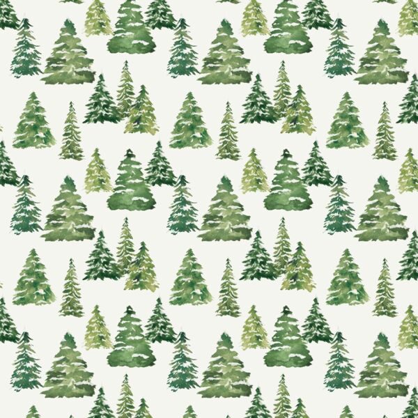 Little Pine Forest in Snow