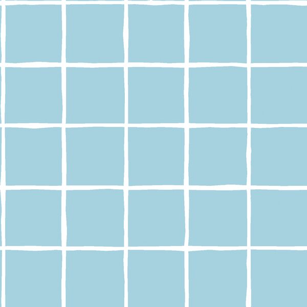 Windowpane in Robins Egg