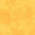 Palette in Canary