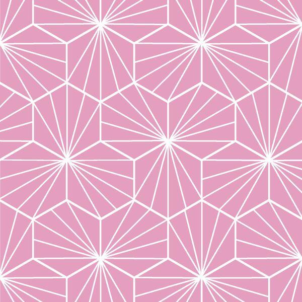 Radiate in Begonia