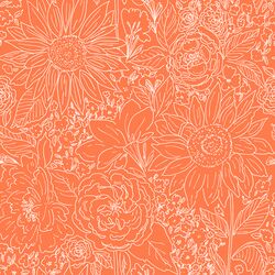 Paperie in Carrot