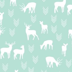 Deer Silhouette in Aloe
