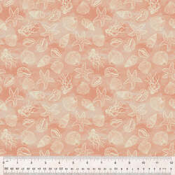 Shell Collection in Coral