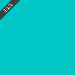 Winterfleece Solid in Turquoise