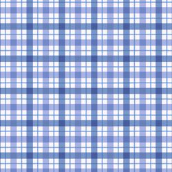Picnic Plaid in Periwinkle