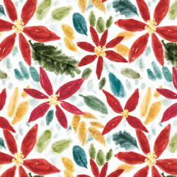 Poinsettia in Winter